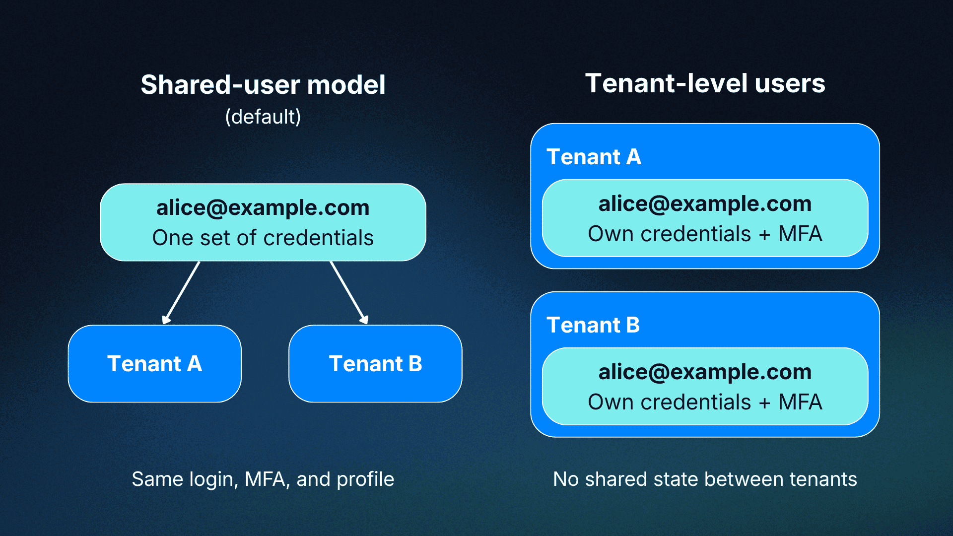 Fig: Diagram illustrating the difference between the shared-user and tenant-level models