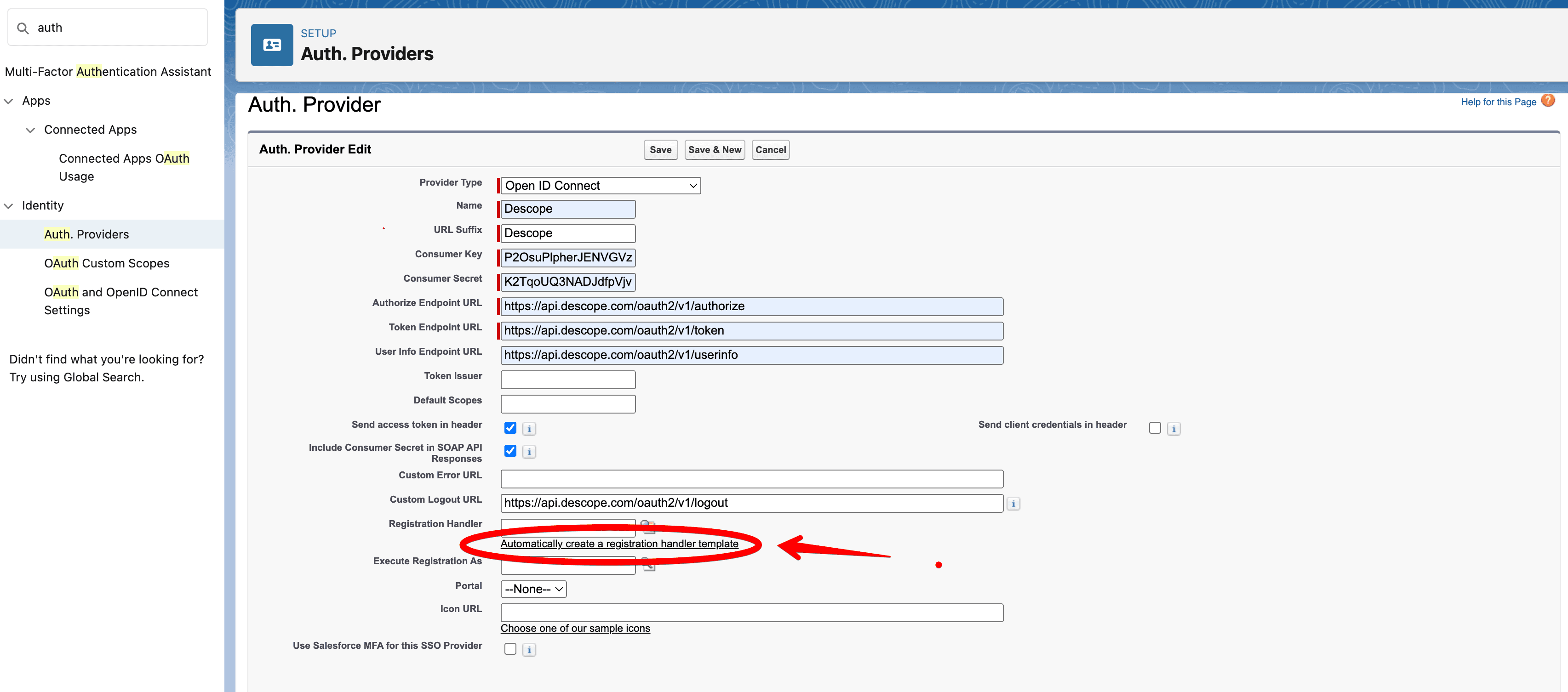 set up auth provider